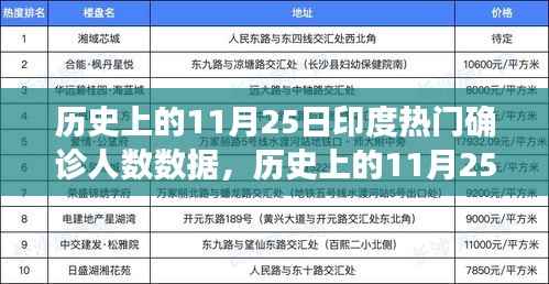 印度疫情转折日,励志故事背后的自信与成就感源泉——历史上的11月25日印度确诊人数数据解析