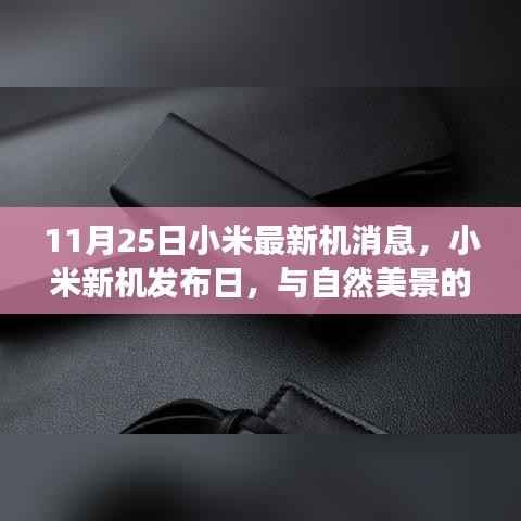 小米新机发布日,与自然美景的浪漫邂逅之旅揭秘最新机型消息