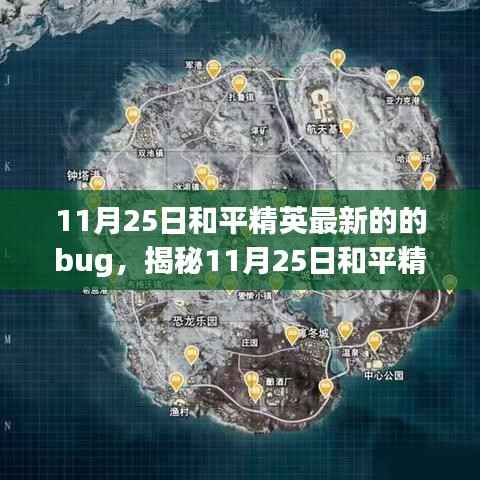 揭秘和平精英最新Bug,技术挑战中的自信与成长之旅(11月25日更新)