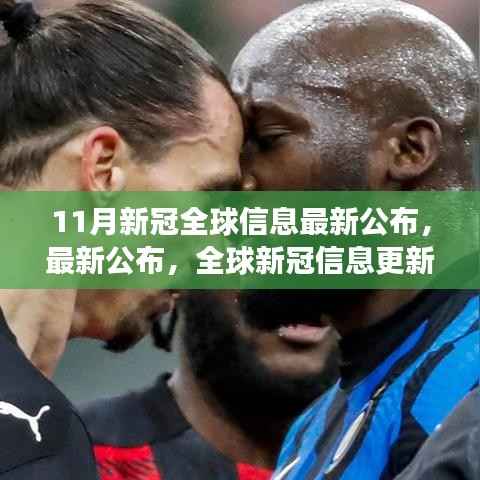 11月全球新冠信息最新公布,洞察与趋势