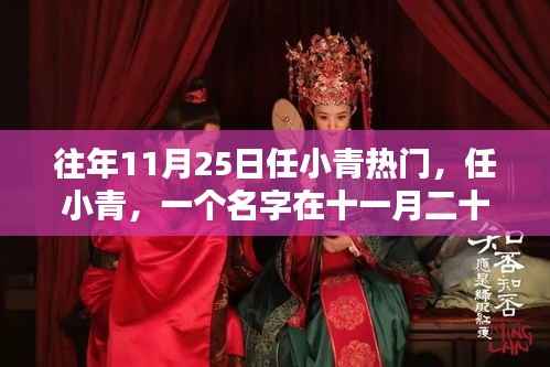 任小青,十一月二十五日的辉煌之路