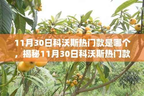 揭秘科沃斯热门款,全新智能科技引领生活新潮流(日期标注版)