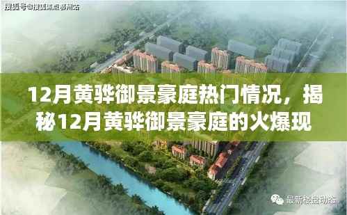 揭秘黄骅御景豪庭12月火爆现象,热门楼盘最新动态抢先看!