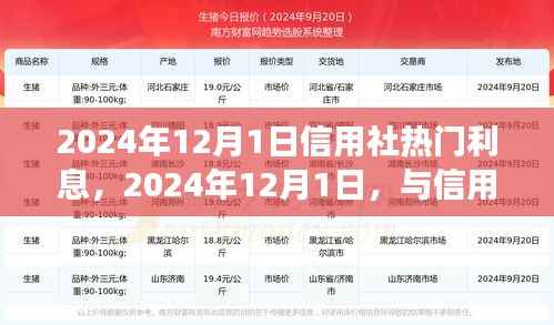 2024年12月1日信用社利息热点解析,探寻自然之美与内心宁静的旅程