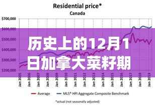 揭秘历史中的今日,深度解读十二月一日加拿大菜籽期货市场最新动态与最新价