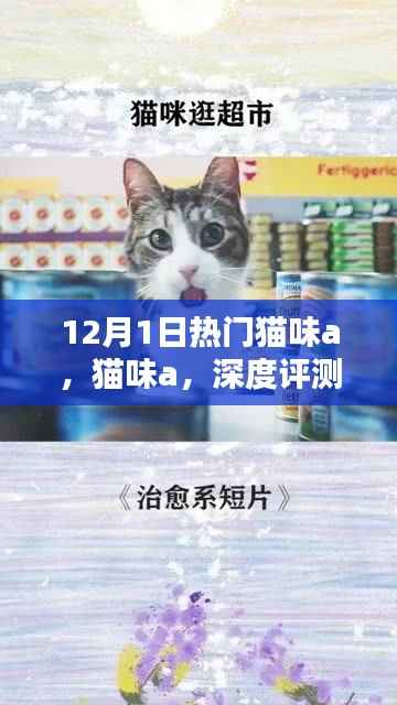 猫味a深度评测与介绍，全新体验来袭