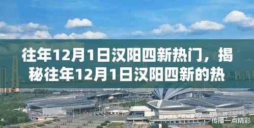 揭秘往年12月1日汉阳四新的热门焦点盛况