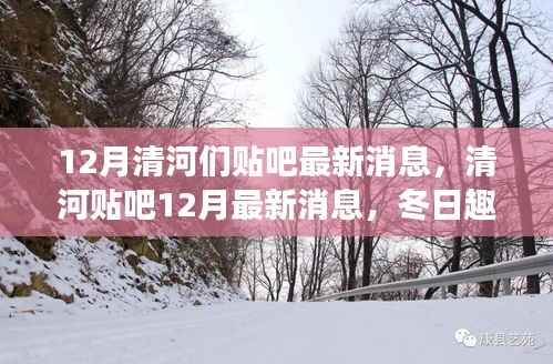 清河贴吧最新消息揭秘,冬日趣事与友情篝火