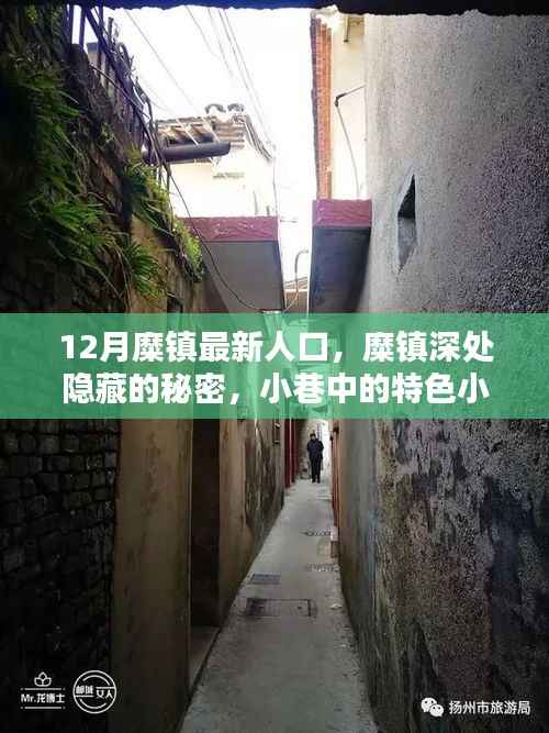 糜镇深处,人口风情与小巷特色小店探秘