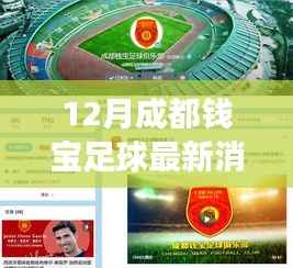 揭秘成都钱宝足球最新动态,赛场风云与未来展望(12月更新)