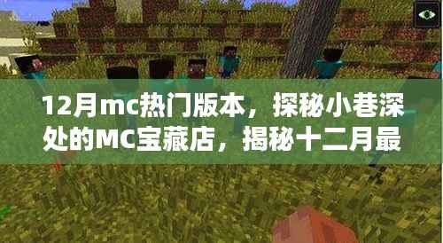 探秘十二月热门MC版本,小巷深处的宝藏店揭秘