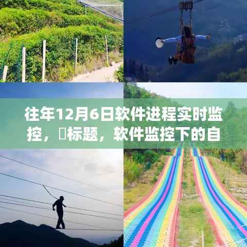 软件监控下的心灵探索之旅，实时进程监控揭示软件世界的奥秘