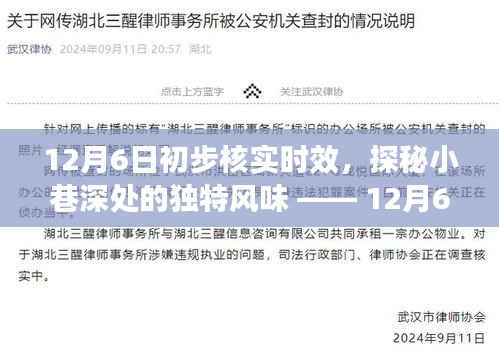 探秘小巷深处的独特风味,一家隐藏的特色小店在12月6日初步核实时效揭晓