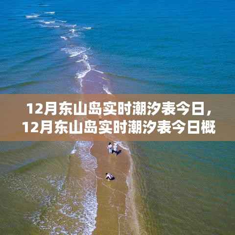 东山岛今日潮汐表概览,海潮涌动中的海岛魅力