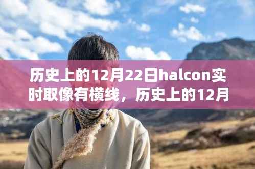 历史上的12月22日,Halcon实时取像技术处理横线干扰的步骤指南与问题解决