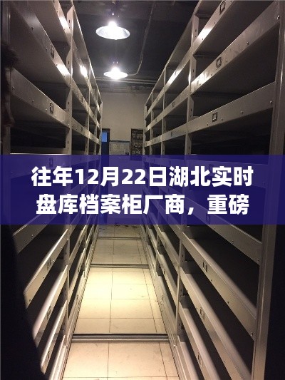 湖北档案柜厂商实时盘库全记录，专业存储新姿势揭秘