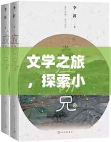 文学之旅,探索小说世界的无限魅力