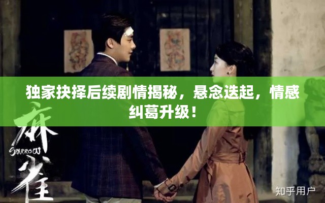 独家抉择后续剧情揭秘,悬念迭起,情感纠葛升级!