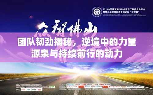 团队韧劲揭秘,逆境中的力量源泉与持续前行的动力