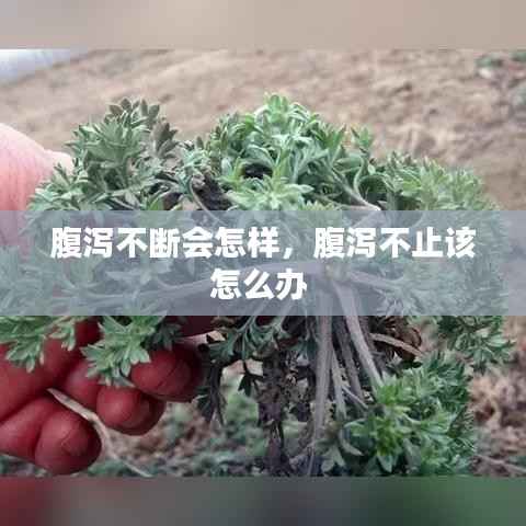 腹泻不断会怎样,腹泻不止该怎么办