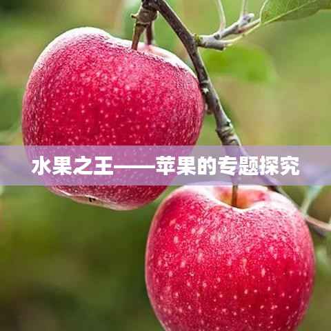 feiqiandongzhi 第3页