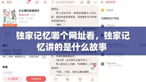 独家记忆哪个网址看，独家记忆讲的是什么故事 