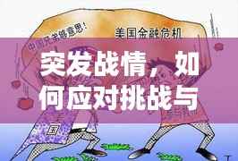 突发战情,如何应对挑战与危机之道