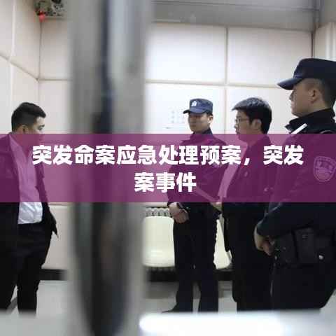 guibuzhaojiao 第10页