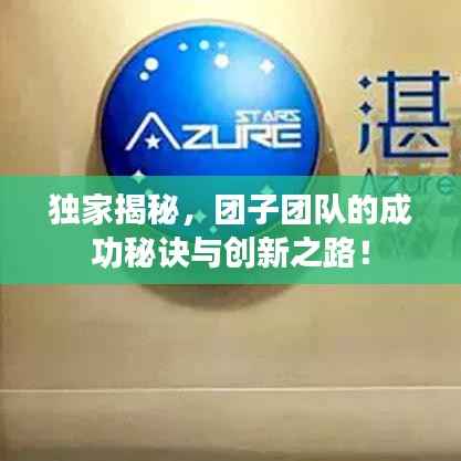 独家揭秘,团子团队的成功秘诀与创新之路!