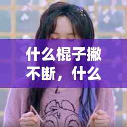 什么棍子撇不断,什么样的棍子容易断