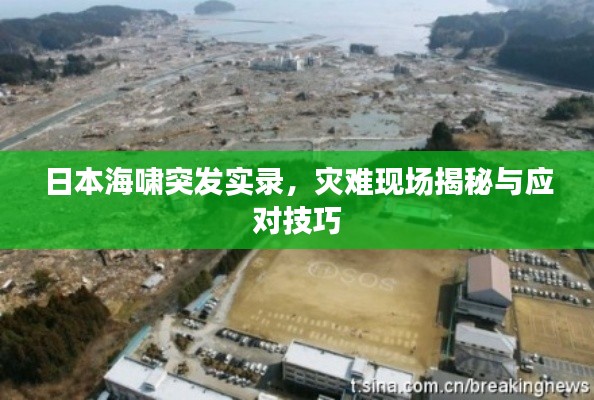 日本海啸突发实录，灾难现场揭秘与应对技巧