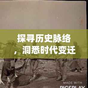 探寻历史脉络，洞悉时代变迁，把握历史规律专题全解析