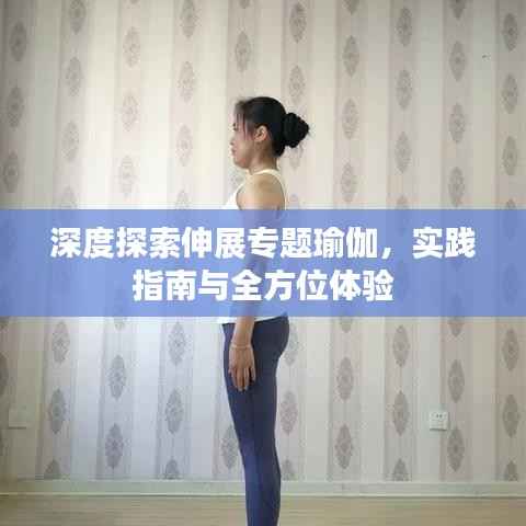 深度探索伸展专题瑜伽,实践指南与全方位体验