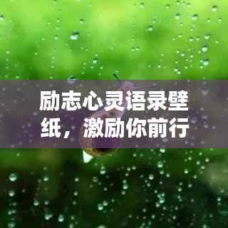 励志心灵语录壁纸,激励你前行的力量