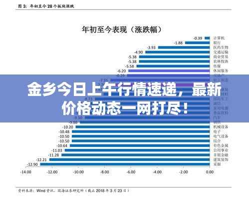 金乡今日上午行情速递,最新价格动态一网打尽!