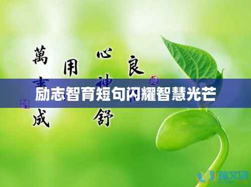 fanzhangjishu 第9页