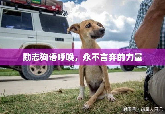励志狗语呼唤,永不言弃的力量