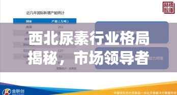 西北尿素行业格局揭秘,市场领导者前十排名解析!