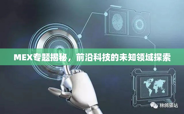 bingguishensu 第8页