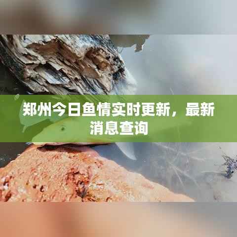 zhangguanlidai 第7页