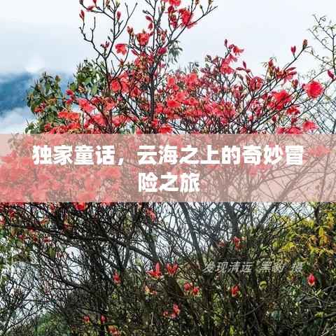 独家童话,云海之上的奇妙冒险之旅