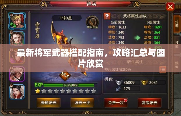 最新将军武器搭配指南,攻略汇总与图片欣赏