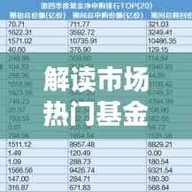 解读市场热门基金,最新排名前十名榜单全解析