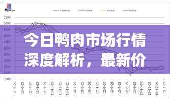 今日鸭肉市场行情深度解析，最新价格走势分析