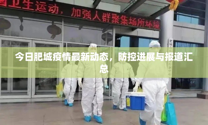 今日肥城疫情最新动态，防控进展与报道汇总