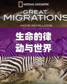 生命的律动与世界的节奏,永恒流转的和谐旋律