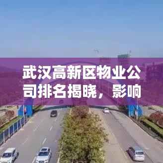 武汉高新区物业公司排名揭晓,影响力大揭秘!