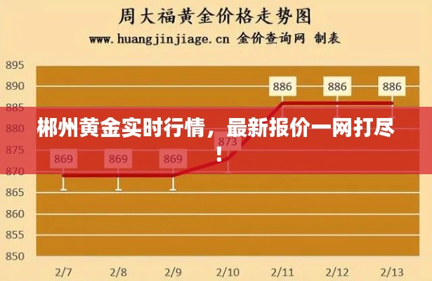bainiaozhengming 第6页