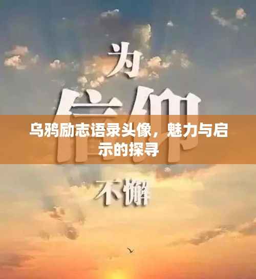 乌鸦励志语录头像,魅力与启示的探寻