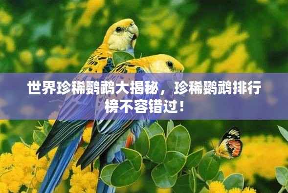 世界珍稀鹦鹉大揭秘,珍稀鹦鹉排行榜不容错过!